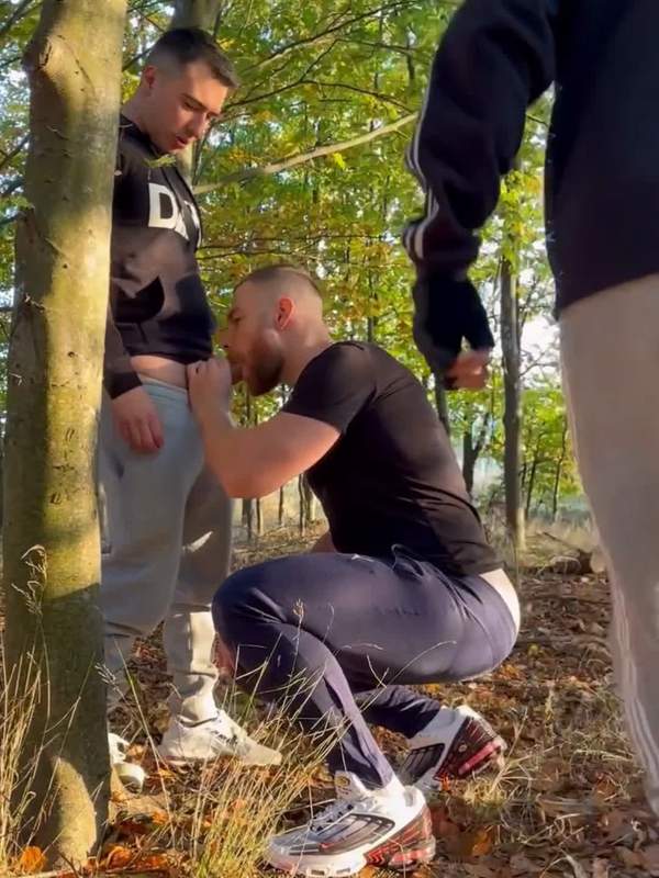 Drei sündige Schwänze machen aus dem Wald ein geiles Orgie