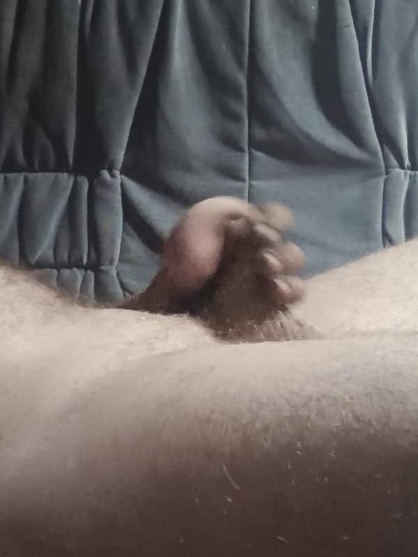 Amateurin bläst und streichelt dickes, behaartes Glied