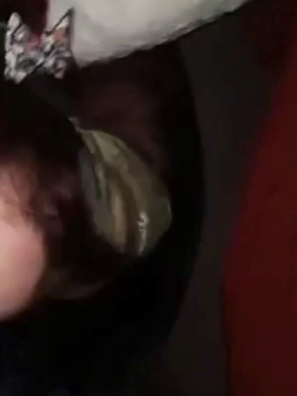 Amateur rote Blondine fickt auf dem Bett